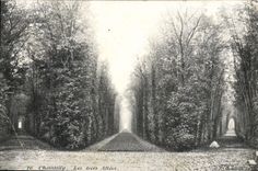 CPA Chantilly Les trois Allees 