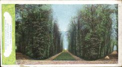 CPA Voyage aux Environs de Paris Chantilly Les Trois Allees 