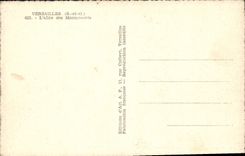 CPA Versailles S et O L'Allee des Marmousets 