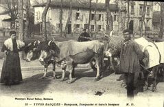 REPRO Types Basques Basquais Basquaise et boeufs Basques 