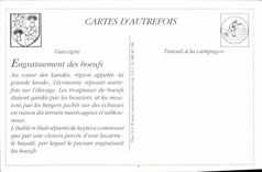 REPRO Interieur dans les Landes Lou Pachedeuy