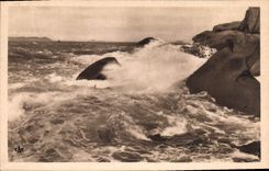 CPA Ploumanach Effet de Mer dans les Rochers de Tregastel 