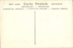 CPA Cathedrale de Chartres Le Transept 