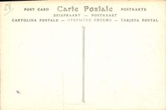 CPA Cathedrale de Chartres Details du Porche du Portail Nord 