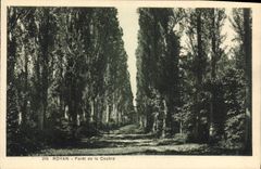 CPA Royan Foret de la Coubre 