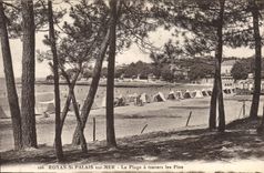 CPA Royan St Palais sur Mer La Plage a travers les Pins 