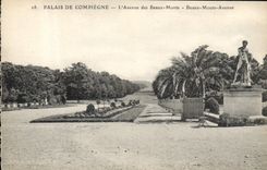 CPA Palais de Compiegne L'Avenue des Beaux Monts 