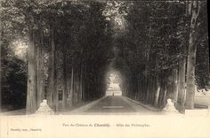 CPA Parc du Chateau de Chantilly Allee des Philosophes 