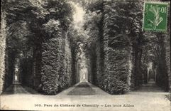 CPA Parc du Chateau de Chantilly Les trois Allees 