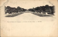 CPA Parc du Chateau de Compiegne L'Avenue des Beaux Morts 
