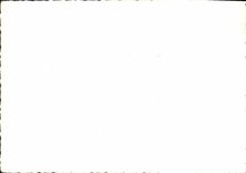 Photo Fleurs Cimetiere