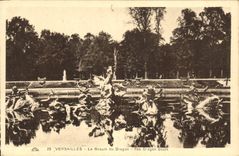 CPA Versailles le Bassin du Dragon 