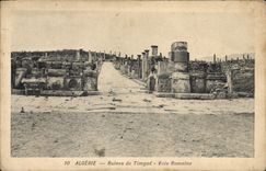 CPA Algerie Ruines de Timgad Voie romaine 