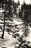 CPA Les Alpes Pittoresque Le Torrent sous la neige 