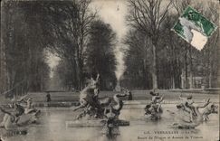 CPA Versailles Le Parc Bassin du Dragon et Avenue de Trianon 