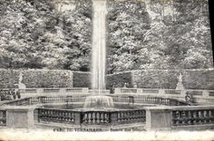 CPA Parc de Versailles Bassin des Domes 