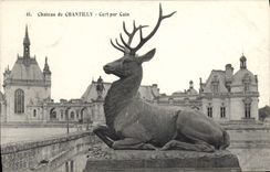 CPA Chateau de Chantilly Cerf par Cain 