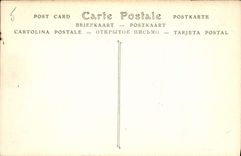 CPA Parc du Chateau de Chantilly Les trois Allees 