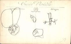 CPA Env de Cauterets Cascade de Lutour 