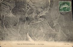 CPA Palais de Fontainebleau  Les Carpes 