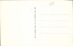 CPA Lourdes La Grotte Miraculeuse 