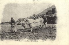 REPRO Pyrenees Le Laboureur 
