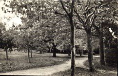 CPA Bethante Saint Palais sur Mer Le Parc 