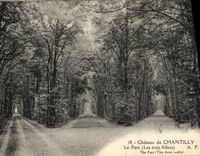 CPA Chateau de Chantilly Le Parc Les Trois Allees 