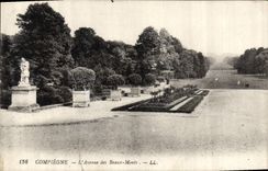 CPA Compiegne L'Avenue des Beaux Monts 