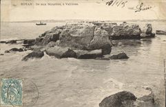 CPA Royan Ile aux Mouettes a Vallieres 