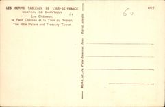 CPA Chateau de Chantilly Les Chateaux le Petit Chateau et la Tour du Tresor 