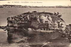CPA Royan Vallieres L'Ile aux Mouettes 