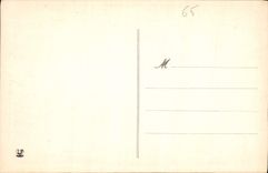 CPA Cauterets Cascade du Pont d'Espagne 