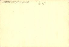 CPA Lourdes Htes Pyr vue generale 