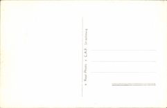 CPA Lourdes La Basilique et les Montaignes 