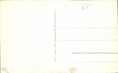 CPA Lourdes La Basilique et le Pyrenese 