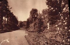 CPA Tarbes HP Les allees fleuries du Jardin Massey et statue de St Christophe a droite 