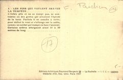 CPA Les Pins qui veulent Braver la Tempete 