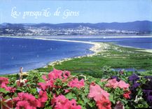 CPM La presqui ile de Giens 