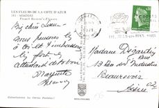 CPM Les Fleurs de la Cote d'Azur Mimosas 