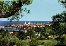 CPM Antibes Vue generale a travers les oliviers 