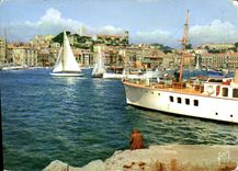 CPM La Cote d'Azur Miracle de la nature Cannes Alpes Maritimes le Port 