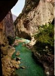 CPM Paysages de France Haute Provence Gorges du Verdon 