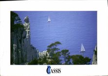 CPM Cassis la Cote pres de Cassis 