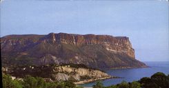 CPM Une Rose a la Boutonniere de la Provence Cassis sur Mer le Cap Canaille 