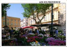 CPM Aix en Provence B du R Place de la Mairie le Marche aux fleurs 