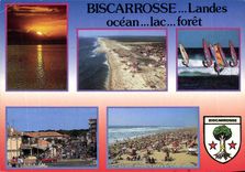 CPM Landes Biscarrosse Ocean Lac foret Planche a voile