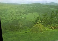 CPM Je Serai le glaneur quand la recolte est faite qui cherche les epis oublies le dernier quand le 