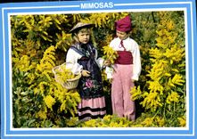 CPM La Cote d'Azur Mimosas Enfants Folklore