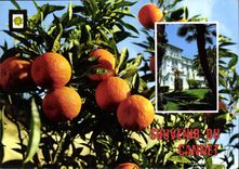 CPM Souvenir du Cannes Cote d'Azur 